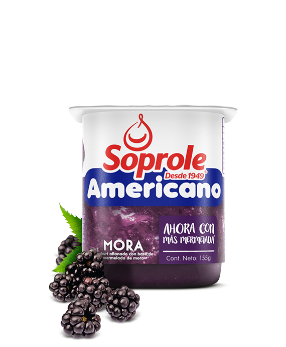 Yoghurt Americano Mora 155 gr